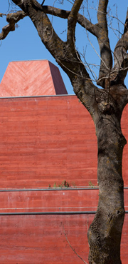 © Luís Ferreira Alves