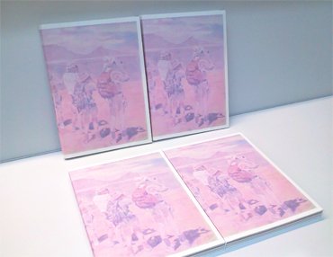 Catálogo Bruno Pacheco