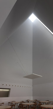 © Luís Ferreira Alves